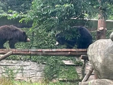 Grade 6 Explores Veermata Jijabai Zoo