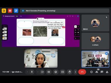 Depletion of Mangroves