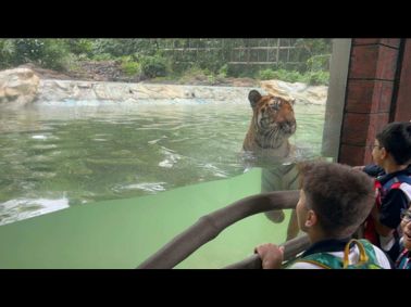 Learning Comes Alive: MRV Students Visit Byculla Zoo