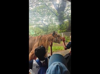 Learning Comes Alive: MRV Students Visit Byculla Zoo